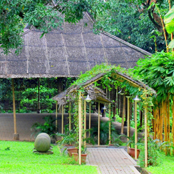 A Rustic Garden Wedding Only Minutes Away from the Metro
