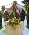 Avengoza Catering