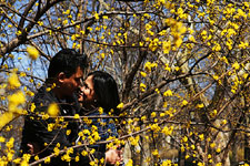 E-session at Central Park and Brooklyn Bridge, New York, USA