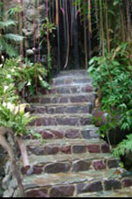 Secret Garden