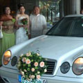 Banquet Specialty Shoppe Inc. | Bridal Cars | Bridal Carriages | Bridal Calesas | Kasal.com - The Philippine Wedding Planning Guide