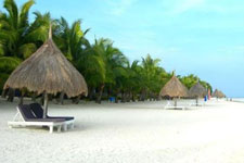 Bohol Beach Club, Bohol