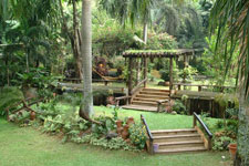 Jardin de Miramar Jardin de Miramar